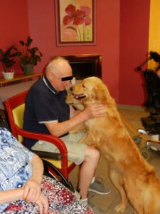 Séance de médiation avec un chien Golden Retriever en EHPAD