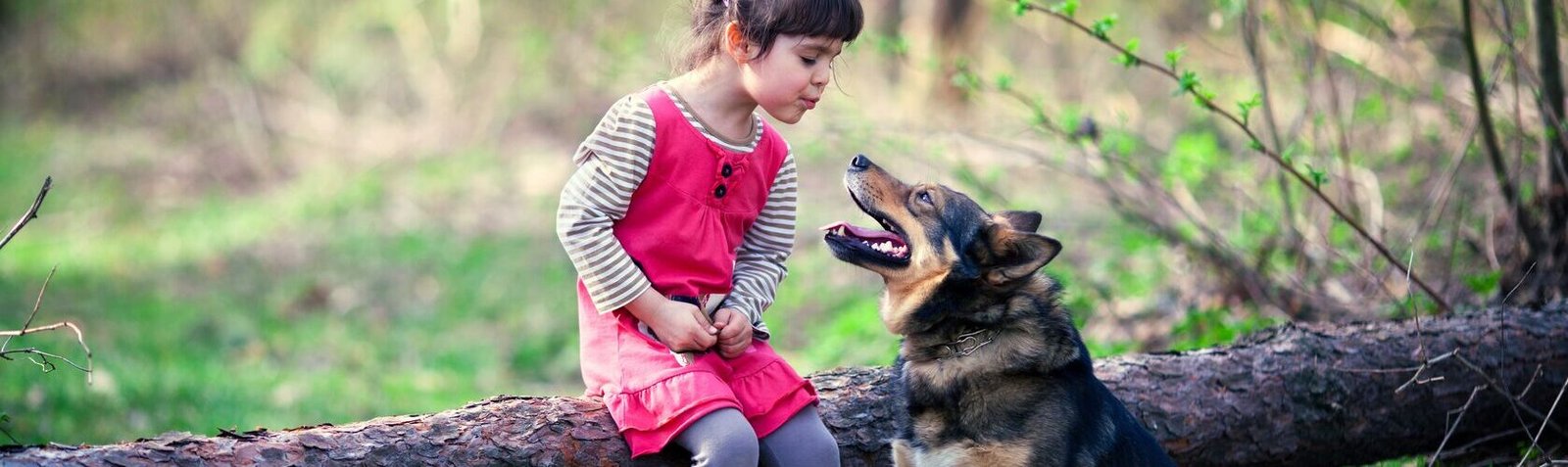 Petite fille assise sur un tronc qui parle avec son chien