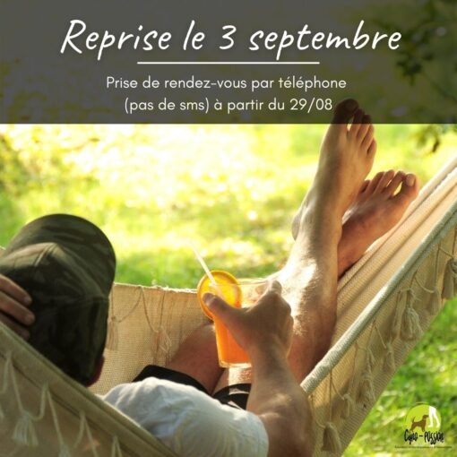 Congé estival et reprise des cours - homme allongé dans un hamac