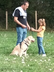 Séance d'éducation individuelle avec vos enfants et votre chien au parc d'éducation canine ou en extérieur 