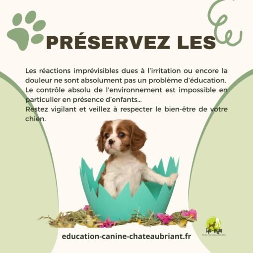 Chiot dans un oeuf de Pâques