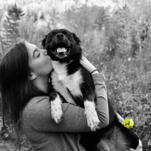 Moment de câlin tendre entre une femme et son chien