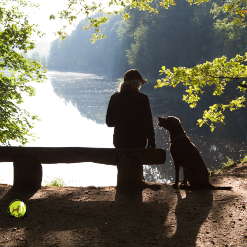 Une jeune femme avec son chien au bord d'un étang