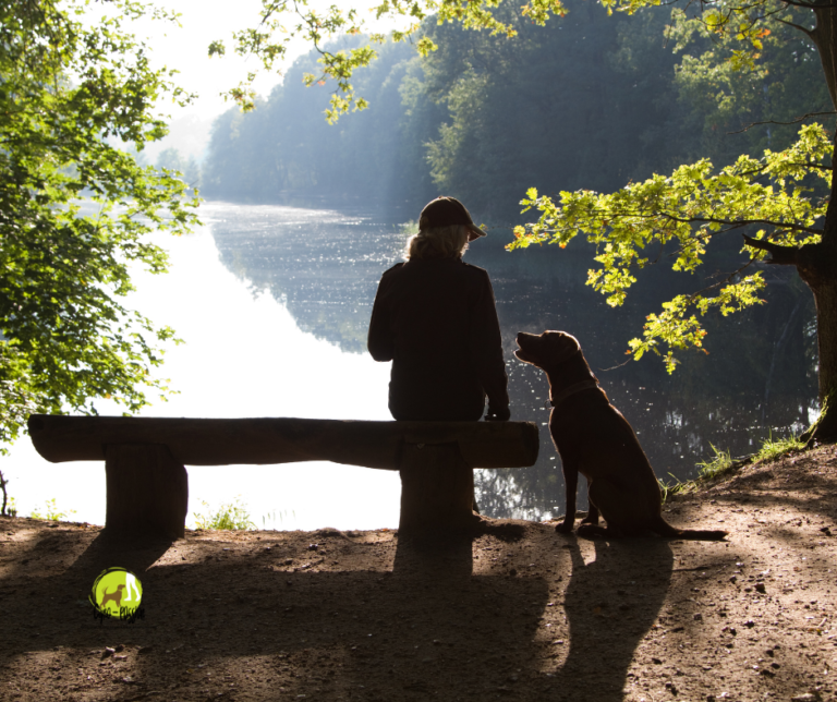 Une jeune femme avec son chien au bord d'un étang