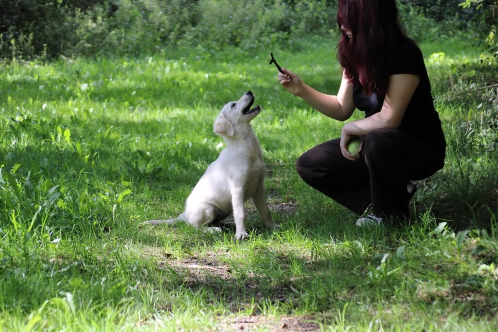 Adolescente jouet avec un chiot lors de la découverte d'un nouvel environnement de balade