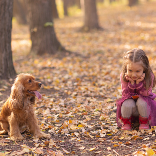 Petite fille accroupie proche son chien dans un chemin forestier en automne