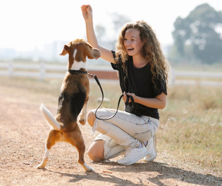 Une femme souriante jouant avec son chien debout dans un parc