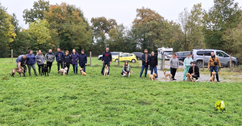Groupe de personnes et de chiens de différentes races participant à un cours de socialisation canine en extérieur, dans un cadre verdoyant et détendu, avec des voitures garées en arrière-plan.