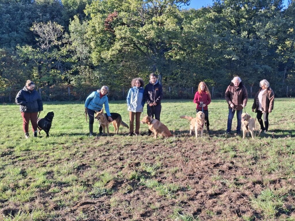 Groupe de propriétaires et leurs chiens de différentes races lors d'une séance collective d'éducation canine en extérieur dans un champ en automne.