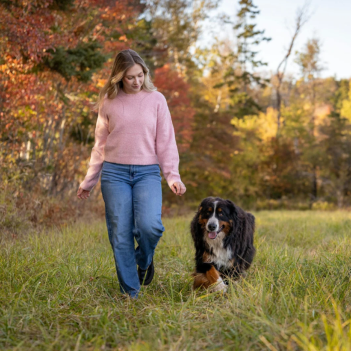 Femme en séance d'éducation canine accompagnée d'un chien de montagne des Pyrénées lors d'une balade collective pour chiens dans un champ en automne.